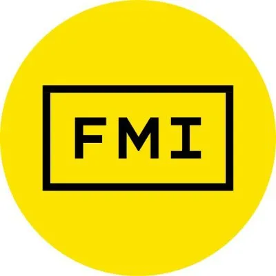 fmi.ie's icon