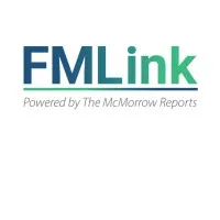 fmlink.com's icon