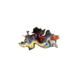 fnfcarhires.com's icon