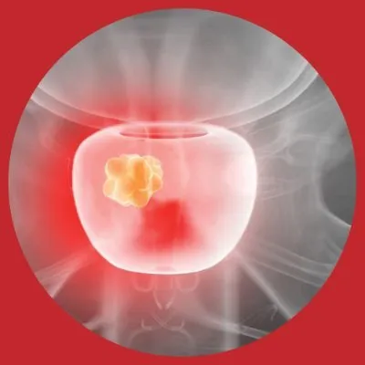 focaltherapy.com's icon