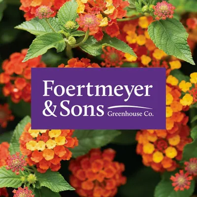 foertmeyerandsons.com's icon