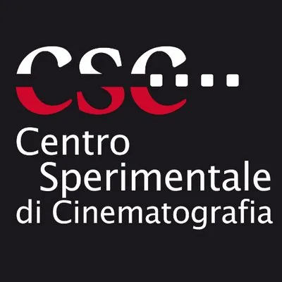 fondazionecsc.it's icon