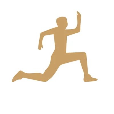 fooks.nl's icon