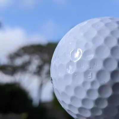 foremajorsgolf.com's icon