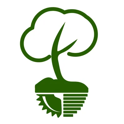 forestfalt.ro's icon
