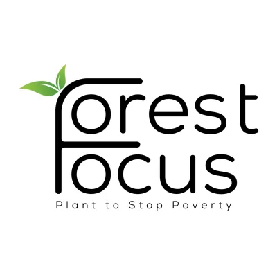 Forest Focus's icon