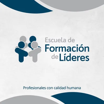 formacionlideres.com's icon