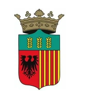 formigueres.fr's icon