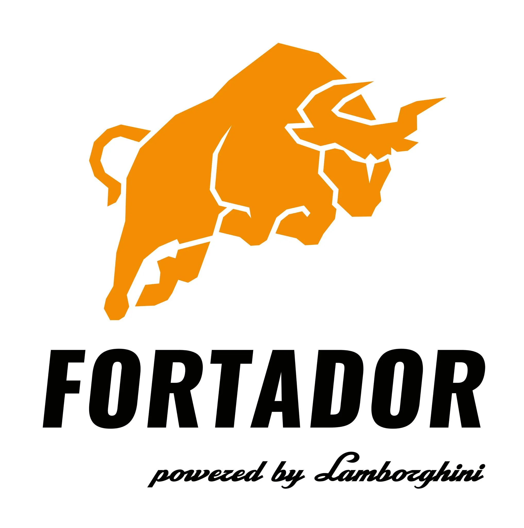 Fortador K.A. Traczyńscy S.K.A.