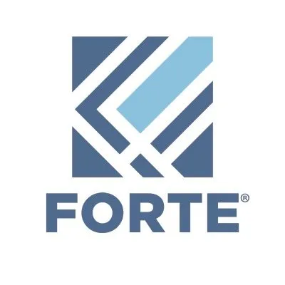 forteintax.com's icon