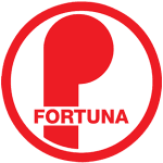 Korfbalclub Fortuna Delft