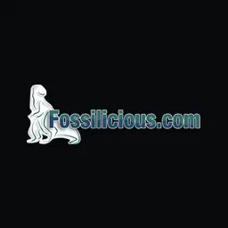 Fossilicious's icon