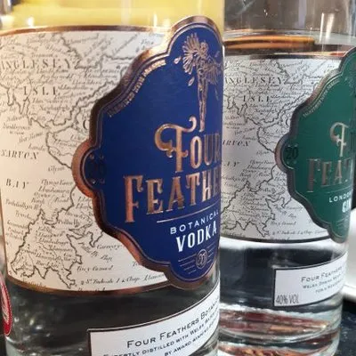 fourfeathersspirit.com's icon