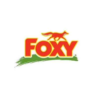 foxy.com's icon