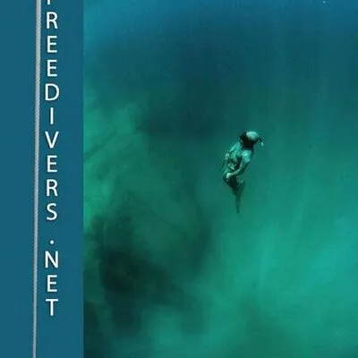 freedivers.net's icon