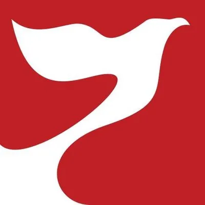 freedomgroup.ro's icon