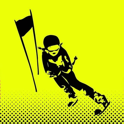 freeskiacademy.net's icon
