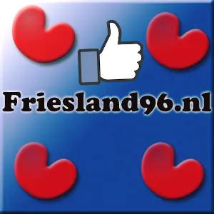 friesland96.nl's icon