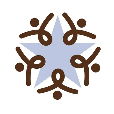 friscocenterim.com's icon