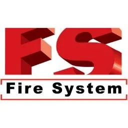 fsmexico.com's icon