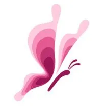 fundabrazamos.com's icon