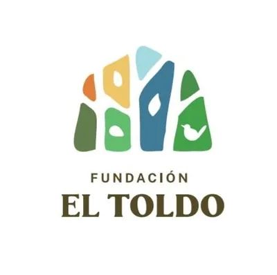 fundacioneltoldo.cl's icon