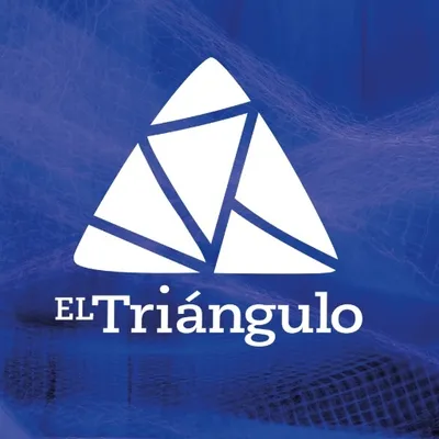fundacioneltriangulo.org's icon