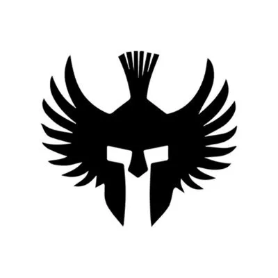 fundacionespartanos.org's icon