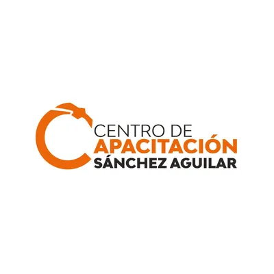 fundacionsanchezaguilar.org's icon