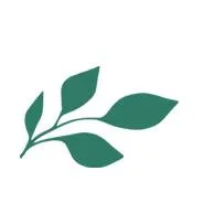 funeralannouncement.com.au's icon