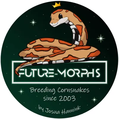 future-morphs.com's icon
