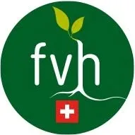 fvh.ch's icon