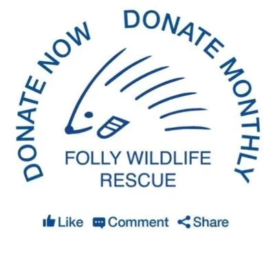 fwrt.org.uk's icon