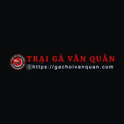 gachoivanquan.com's brand icon