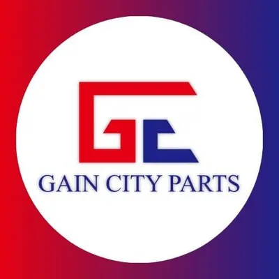 gain-city.com's icon