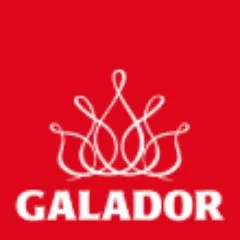 gala.si's icon