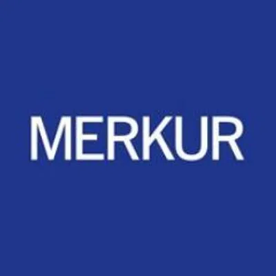 galerimerkur.com's icon