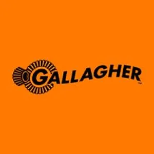 gallaghersa.co.za's icon