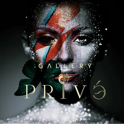 galleryprive.com's icon