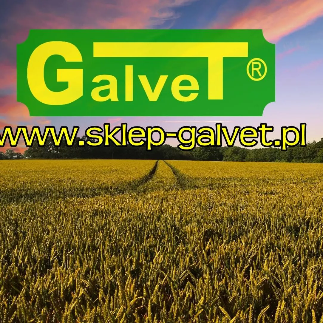 Galvet sp. z o.o.
