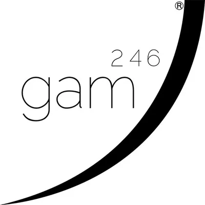 gam246.com's icon