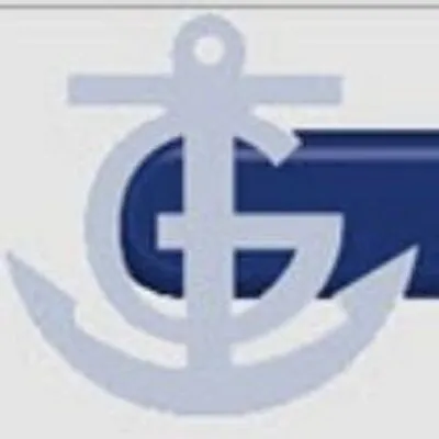 gandarachile.cl's icon
