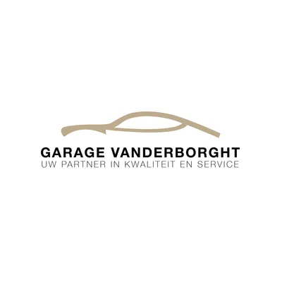 garage-vanderborght.be's icon