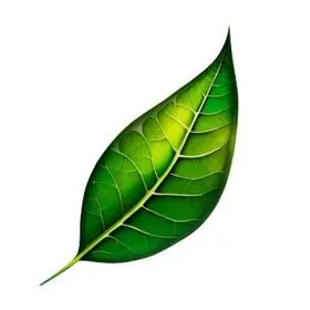 gardenvive.com's icon