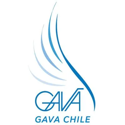 gavachile.com's icon