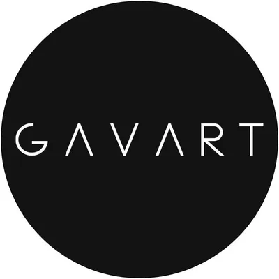 gavart.ro's icon