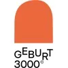 geburt3000.ch's icon