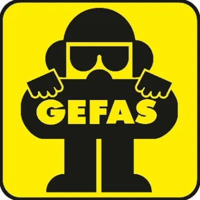 gefas.at's icon