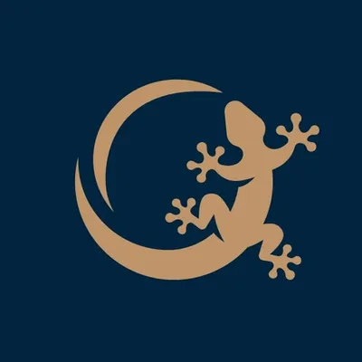 gekogold.com's icon