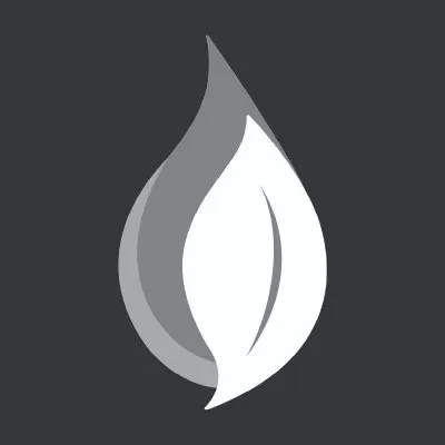 genesissystems.com's icon